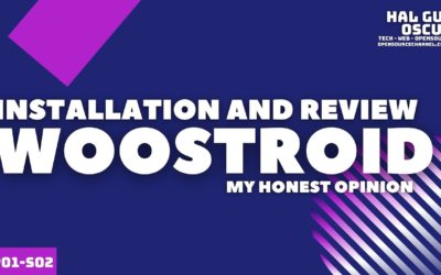 Installation and Honest Opinion/Review of WooStroid 2 for WordPress | TemplateMonster and MonsterONE