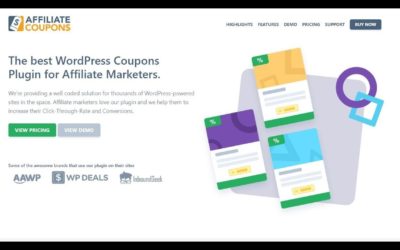 Affiliate Coupon Plugin Review – The Best WordPress Coupon Plugin