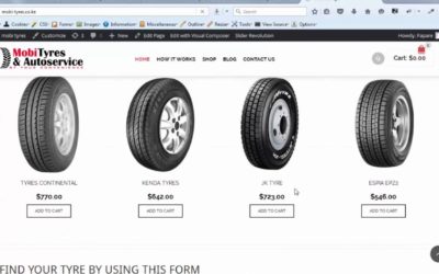 Car tyre plugin – woocommerce car tyre filter WordPress plugin