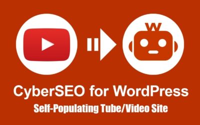 CyberSEO Lite: Self-populating tube/video site on WordPress