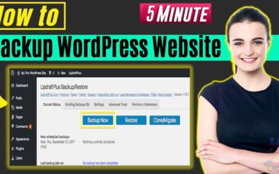 How to Backup WordPress Website 2022 [ 5 Minute ]