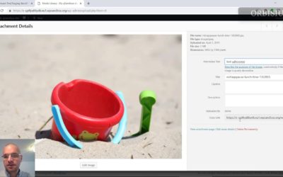 How to Edit Image Alt Tags using Quick Alt Editor WordPress Plugin