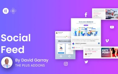 How to add Feeds from Facebook, Instagram, Twitter, Vimeo & YouTube in WordPress Elementor |