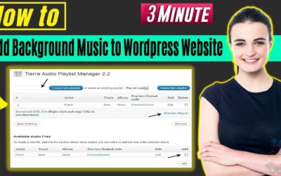 How to add background music to wordpress website 2022