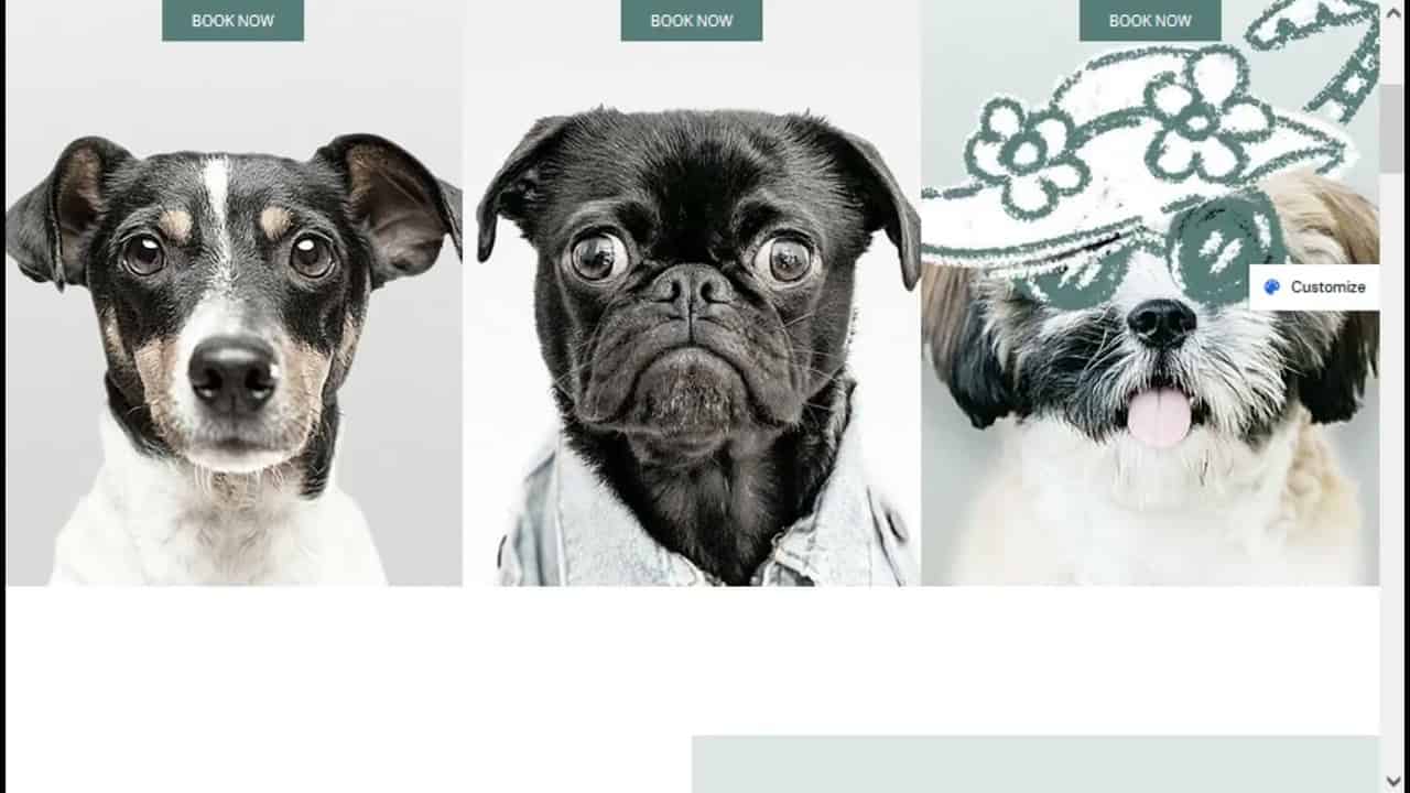 Pet Care   Astra Theme   WordPress Theme Preview