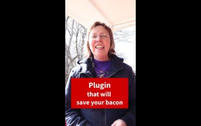 Plugin will save your bacon – WP Rollback