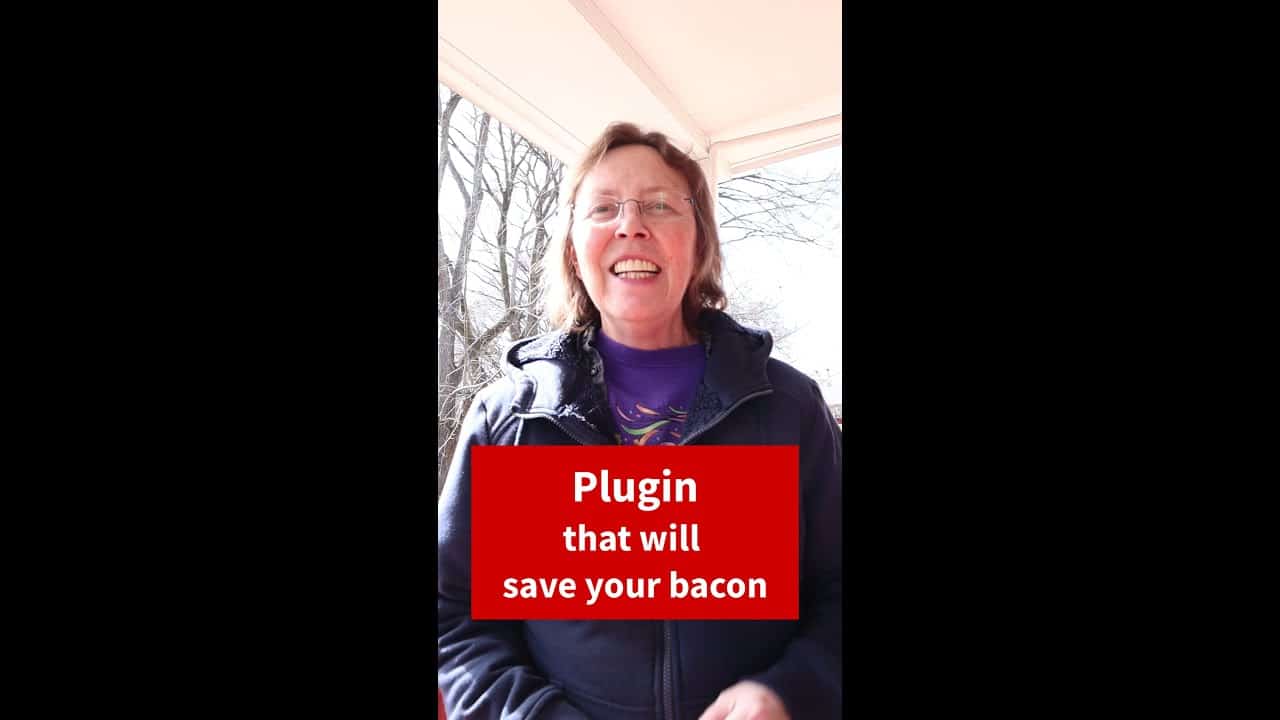 Plugin will save your bacon - WP Rollback