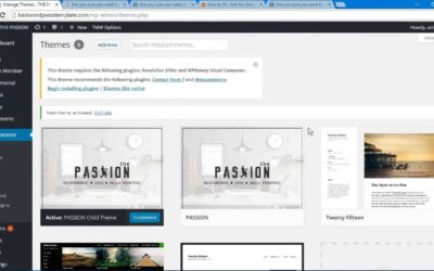 THE PASSION WordPress Theme Installation Video