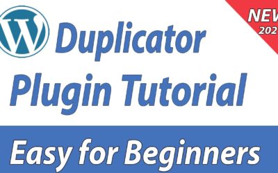 [2021] WordPress Duplicator Plugin Tutorial – How to migrate your WordPress Website