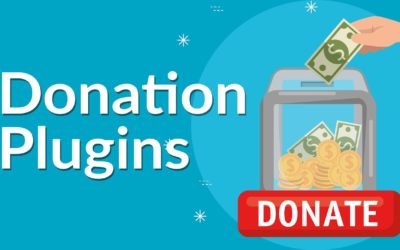 5 of the Best WordPress Donation Plugins