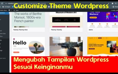 Cara Customize Theme WordPress / Menyesuaikan Tampilan WP Sesuai Yang Kamu Inginkan