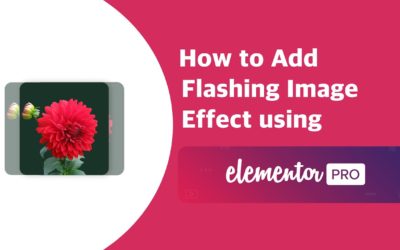 How to Add Flashing Image Effect in Elementor Pro | EducateWP 2022