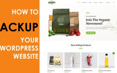 How to Backup Your WordPress Website in 5 Mins