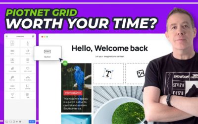 NEW WordPress Post Grid Plugin – PiotnetGrid – Any Good???