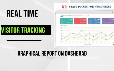 Track Website Visitors with Real-Time Graphical Report on WordPress Dashboard | Visitor Analysis