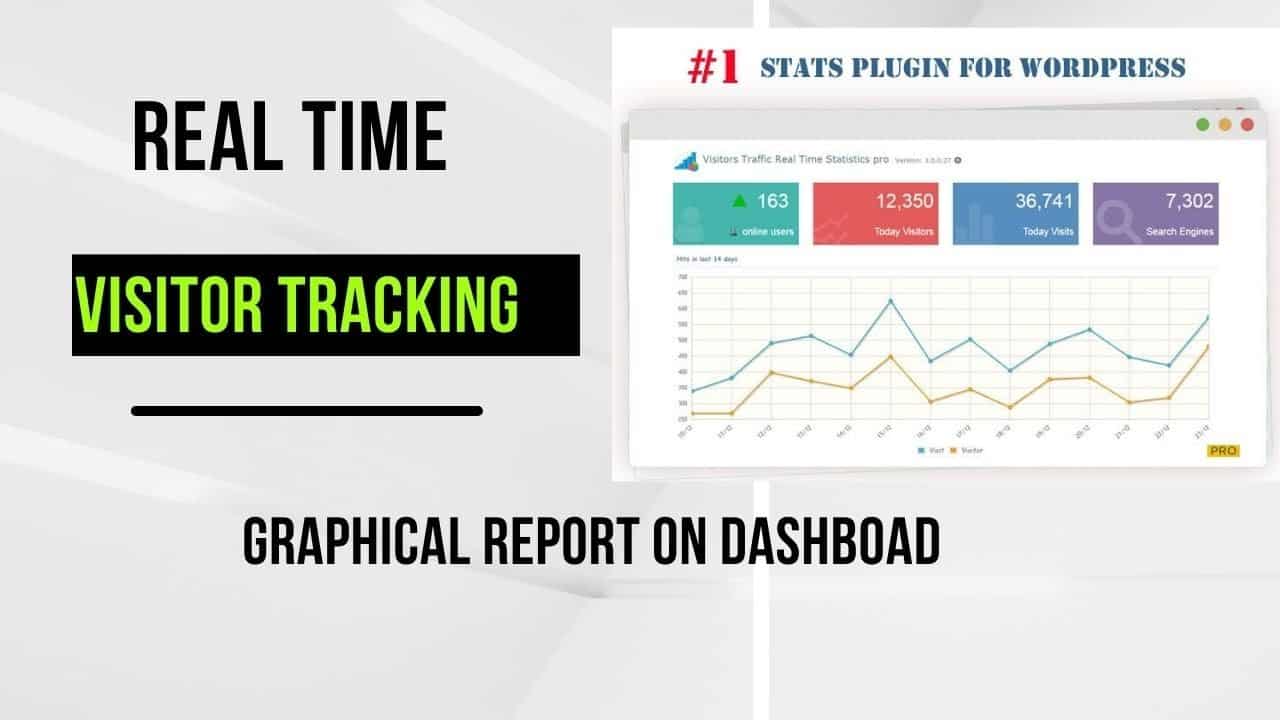 Track Website Visitors with Real-Time Graphical Report on WordPress Dashboard | Visitor Analysis