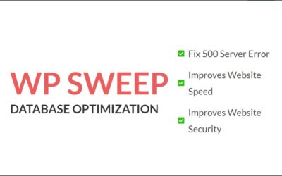 WP Sweep – A Must Have Plugin for WordPress Website ( Database Optimization)