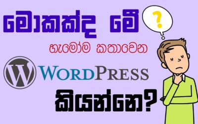 මොකක්ද WordPress කියන්නෙ? සිංහලෙන් – Beginner Level Full Tutorial Sinhala – Intro Hosting & Domain