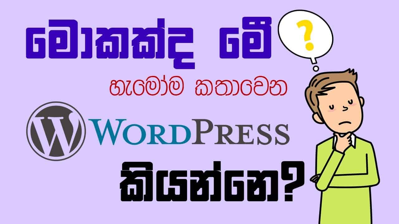 මොකක්ද WordPress කියන්නෙ? සිංහලෙන් - Beginner Level Full Tutorial Sinhala - Intro Hosting & Domain