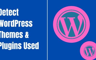 How To detect What Theme A wordpress Website Is Using