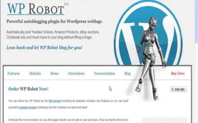 I compare and review WP Robot vs WP Automatic plugin. I've built automated blogs with both plugins