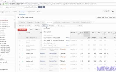 Digital Advertising Tutorials – Google AdWords Tutorial | Using filters to focus on what matters most