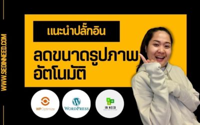 ปลั๊กอิน wordpress | WP Optimize ช่วย compress รูปภาพ ลดขนาดไฟล์อัตโนมัติขณะอัปโหลดภาพบนเว็บไซต์