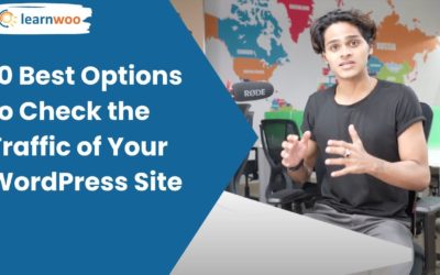 10 Best Options to Check WordPress Website Traffic