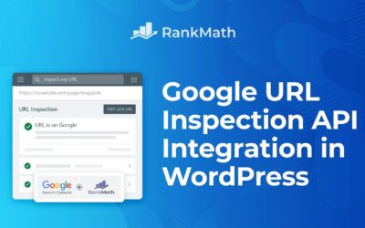 Google URL Inspection API Integration in WordPress