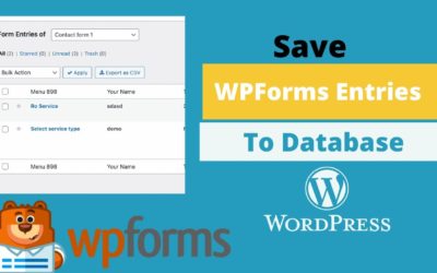 Save WPForms Entries to Database | View & Display Entries in WordPress for FREE