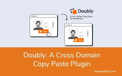 Doubly: A Cross Domain Copy Paste Pluign