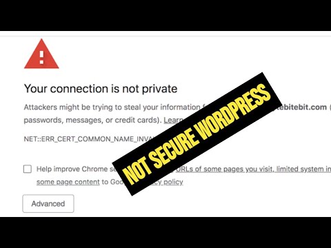 Not Secure WordPress Website Problem Solved 2022