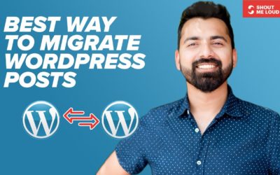 SEO friendly way to migrate Post between WordPress sites