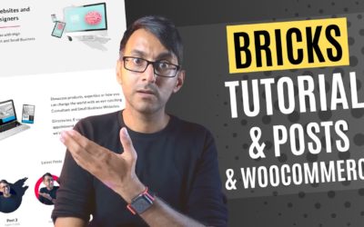 Bricks Builder Tutorial – Page and Posts and WooCommerce – WordPress Theme – Speed Optimisation