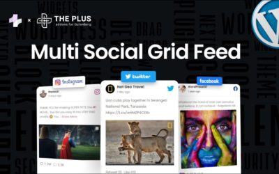 Combined Social Media Feed in WordPress (Gutenberg) – Facebook, Instagram, Twitter, YouTube & Vimeo