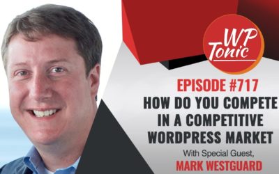 How Do You Compete in a Competitive WordPress Pugin Market Sector?