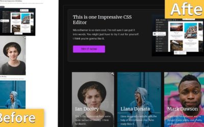 This WordPress Plugin Writes CSS FOR YOU (MicroThemer Tutorial)