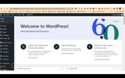 How To Install Our Top 9 WordPress SEO Plugins and Their Quick Setup Guide