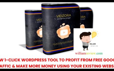 VidZora Review | SHORT DEMO & 1,800 BONUSES