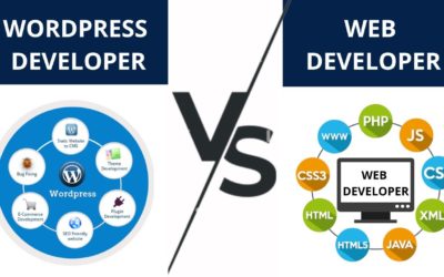 WordPress Developer VS Web Developer | Difference Between WordPress Developer VS Web Developer