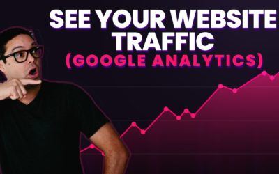 Check Your Website Traffic In WordPress With Google Analytics & Monster Insights