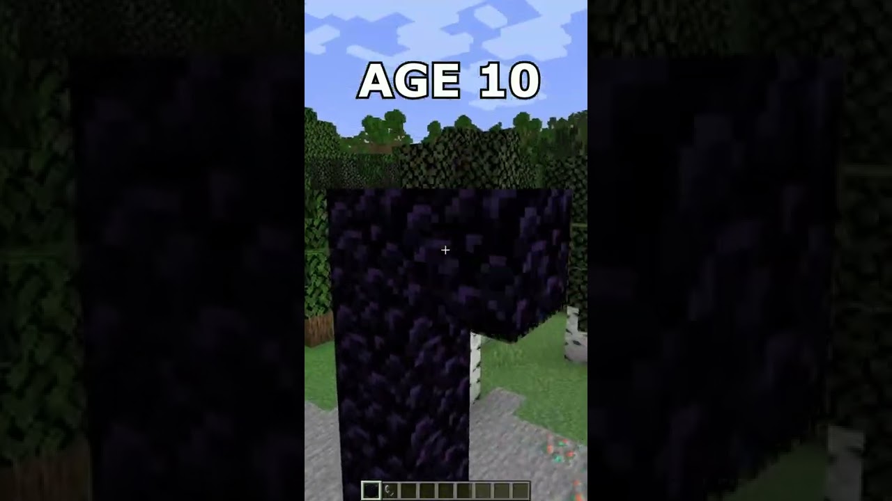 Nether Portal at Different Ages (World's Smallest Violin) #shorts