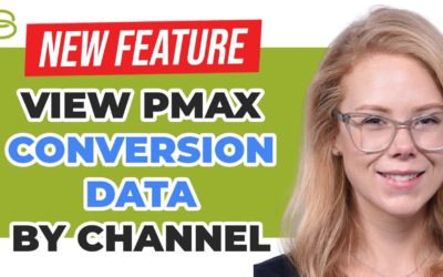 Digital Advertising Tutorials – 💣 New Google Analytics Feature for PMax: View Conversion Data by Channel (Shopping vs Search)