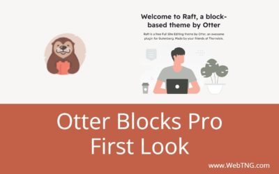 Otter Blocks Pro First Look