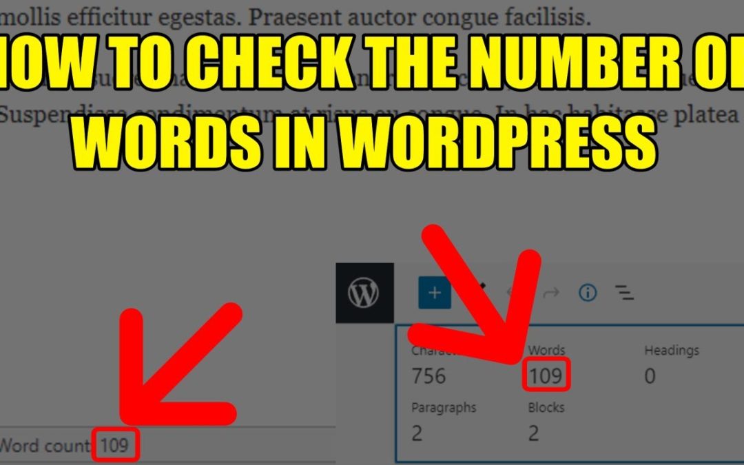 HOW TO CHECK THE NUMBER OF WORDS IN WORDPRESS